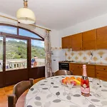 Apartment Drazen